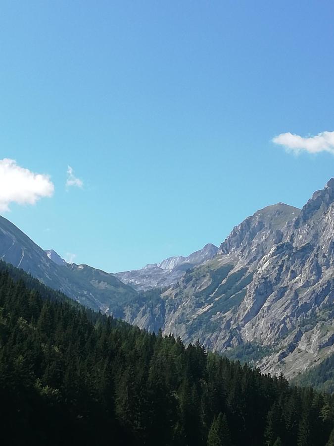 Frühstückspension Seeberghof Seewiesen Exterior foto